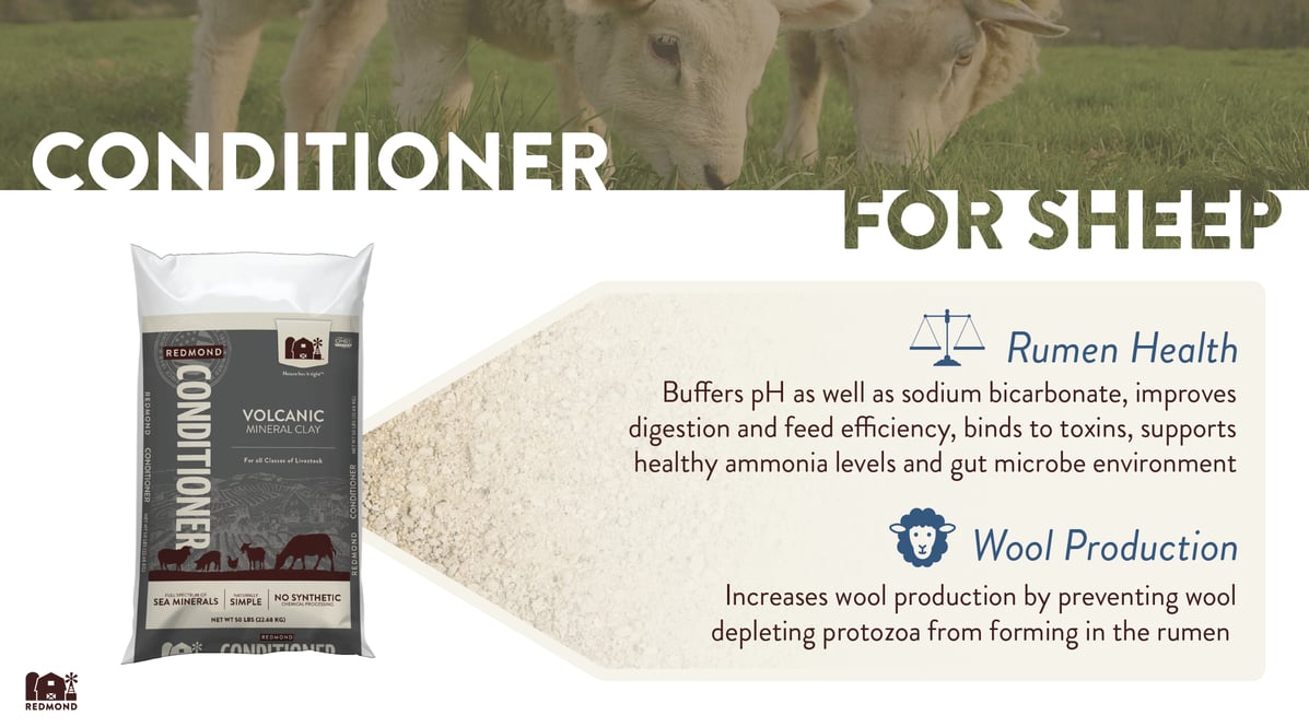 Bentonite clay benefits for sheep
