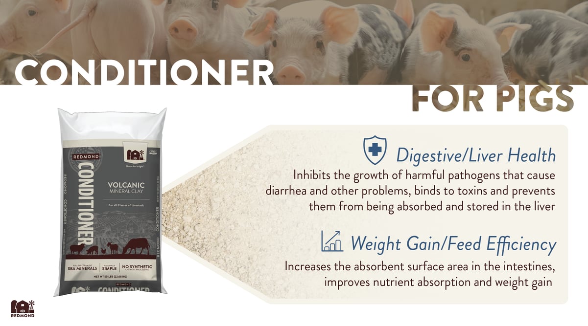 Bentonite clay benefits for pigs