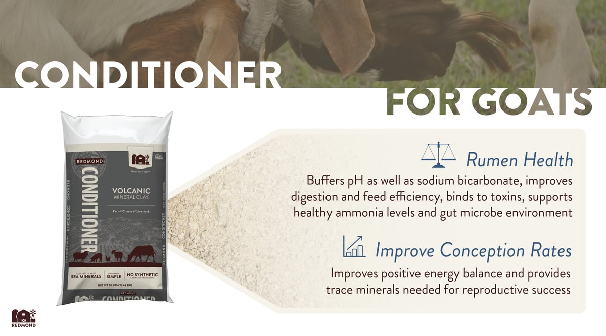 Bentonite clay benefits for goats