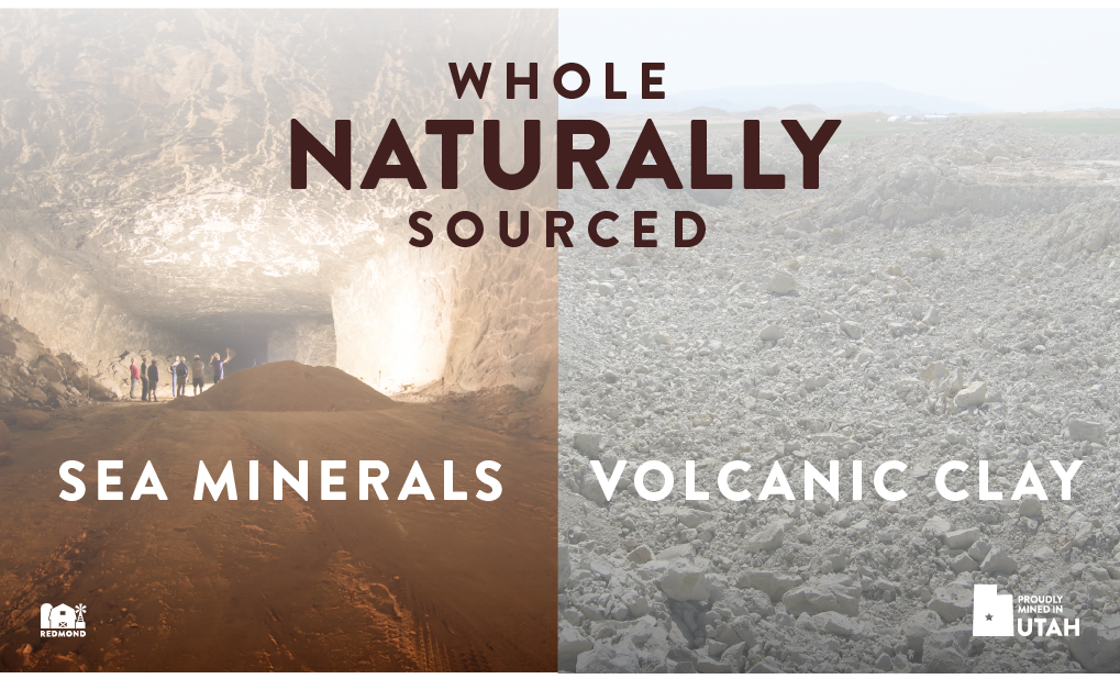 Redmond Minerals and clay