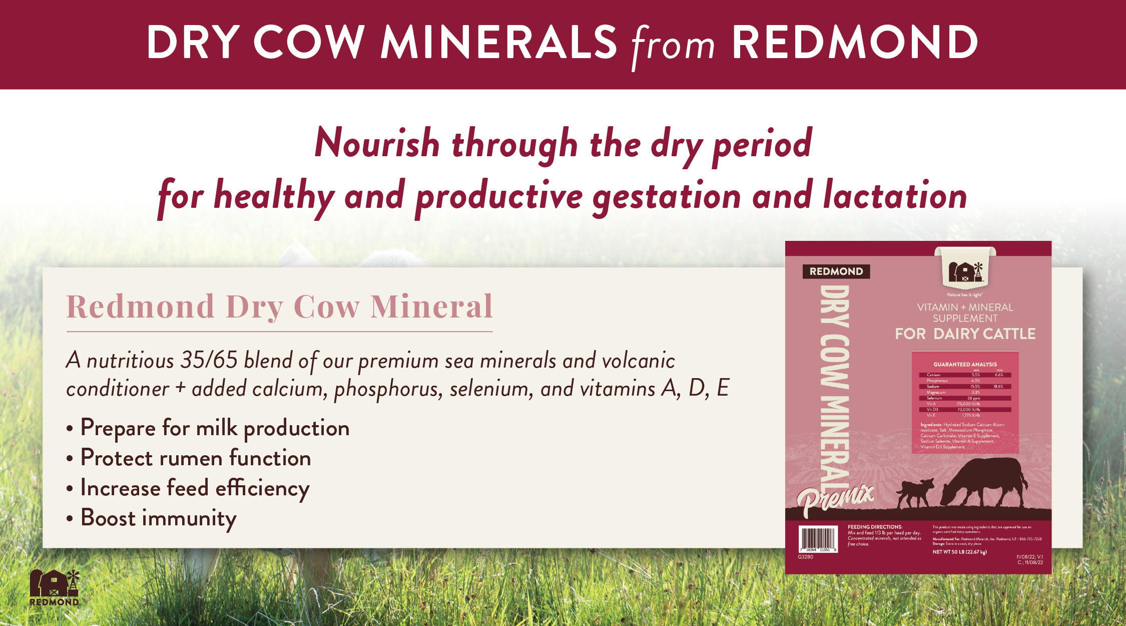 Dry Cow Minerals from Redmond