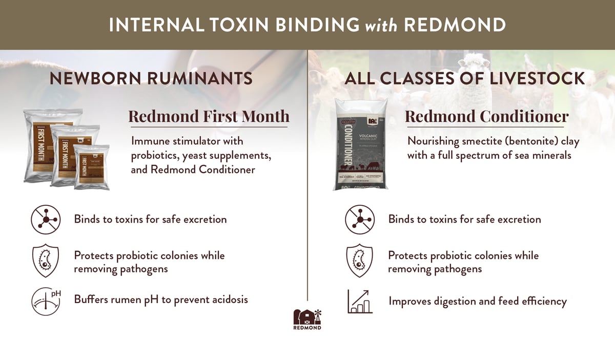 Feed toxin binding
