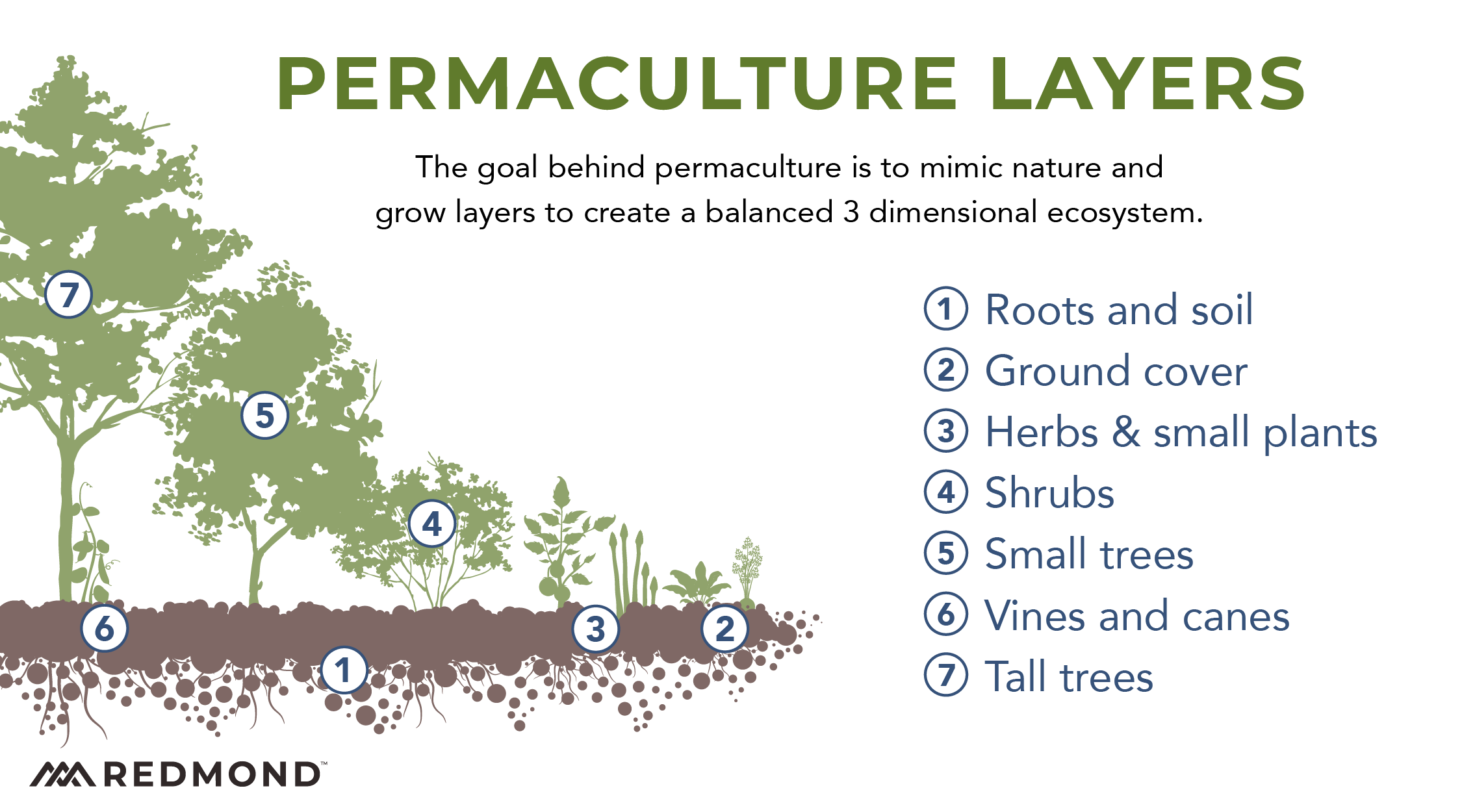 permaculture layers in a food forest garden