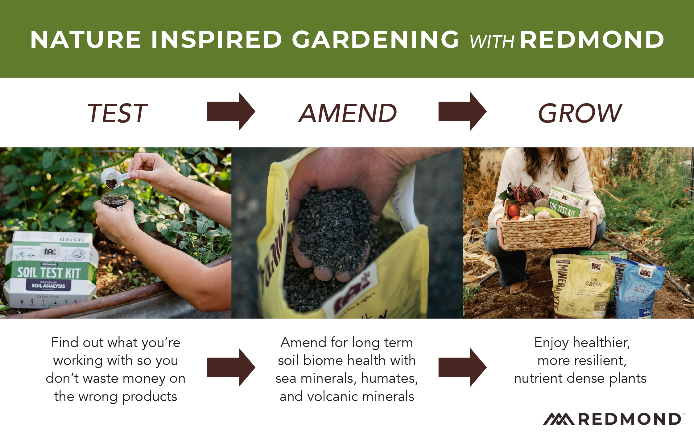 Food Forests Permaculture-04