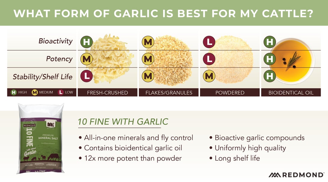 Forms of garlic for natural fly control in cattle