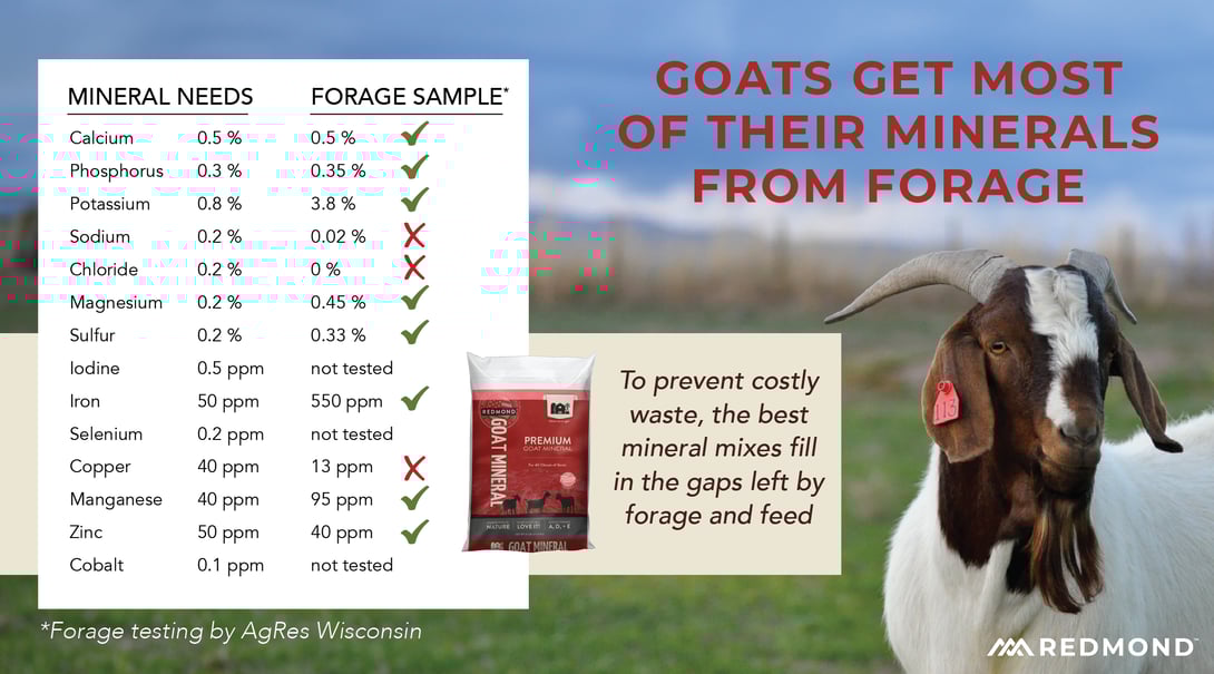 Goat mineral needs