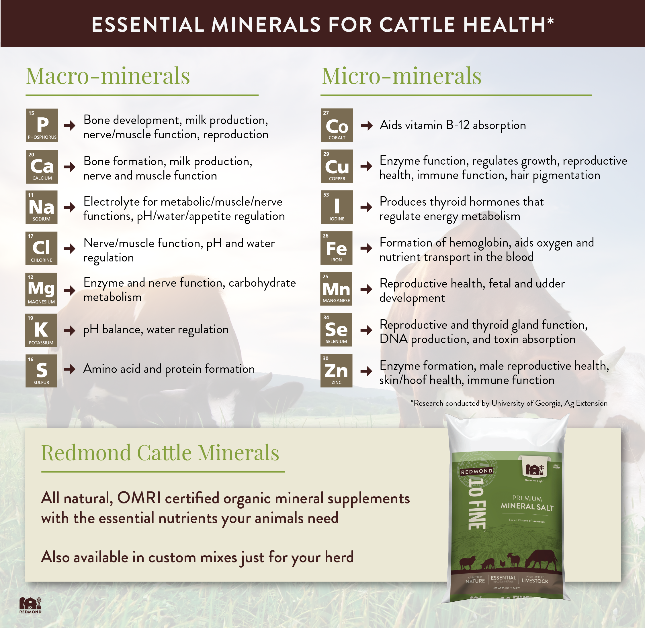 Essential minerals for cattle