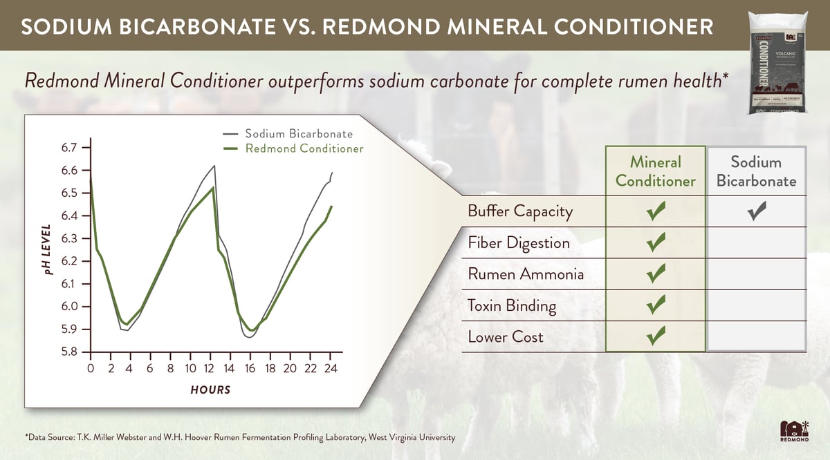 Bentonite for rumen buffering