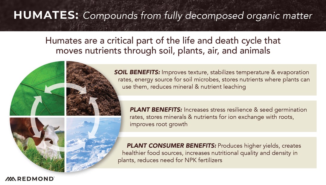 How humates help soil and plant health