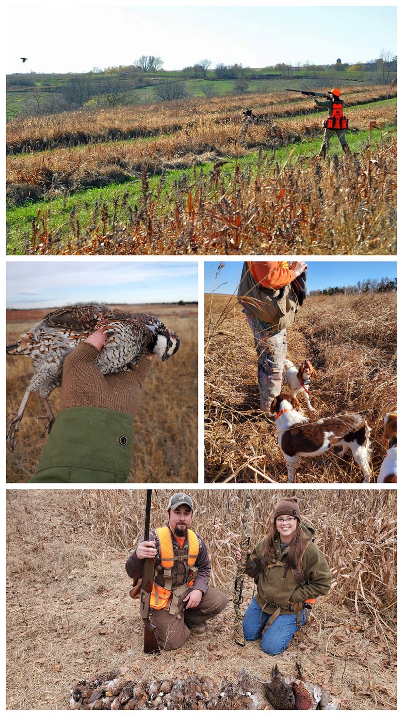 upland game bird hunting