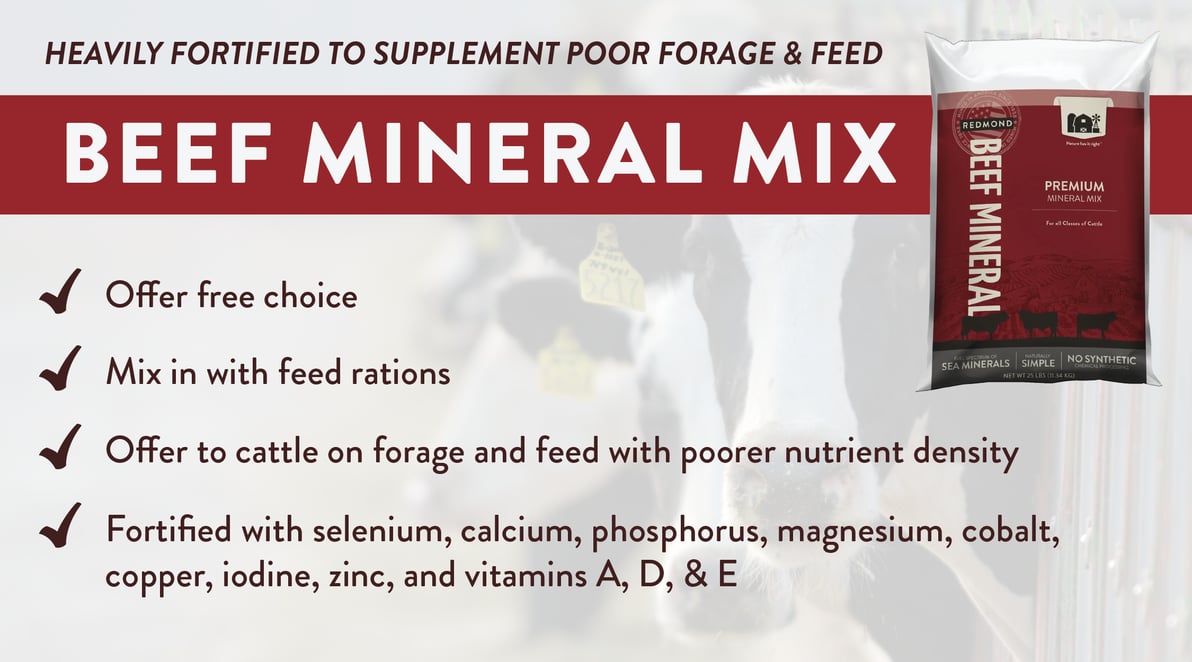 Redmond Beef Mineral Mix