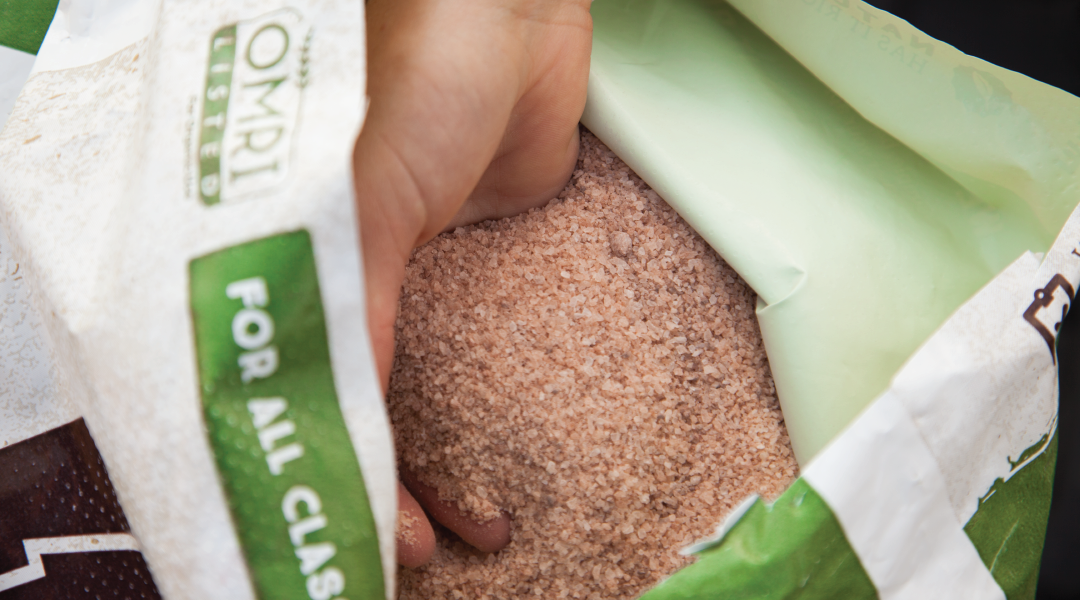 Redmond 10 fine mineral salt supplement