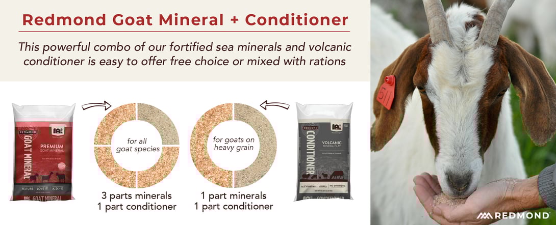 Redmond Goat Mineral Program