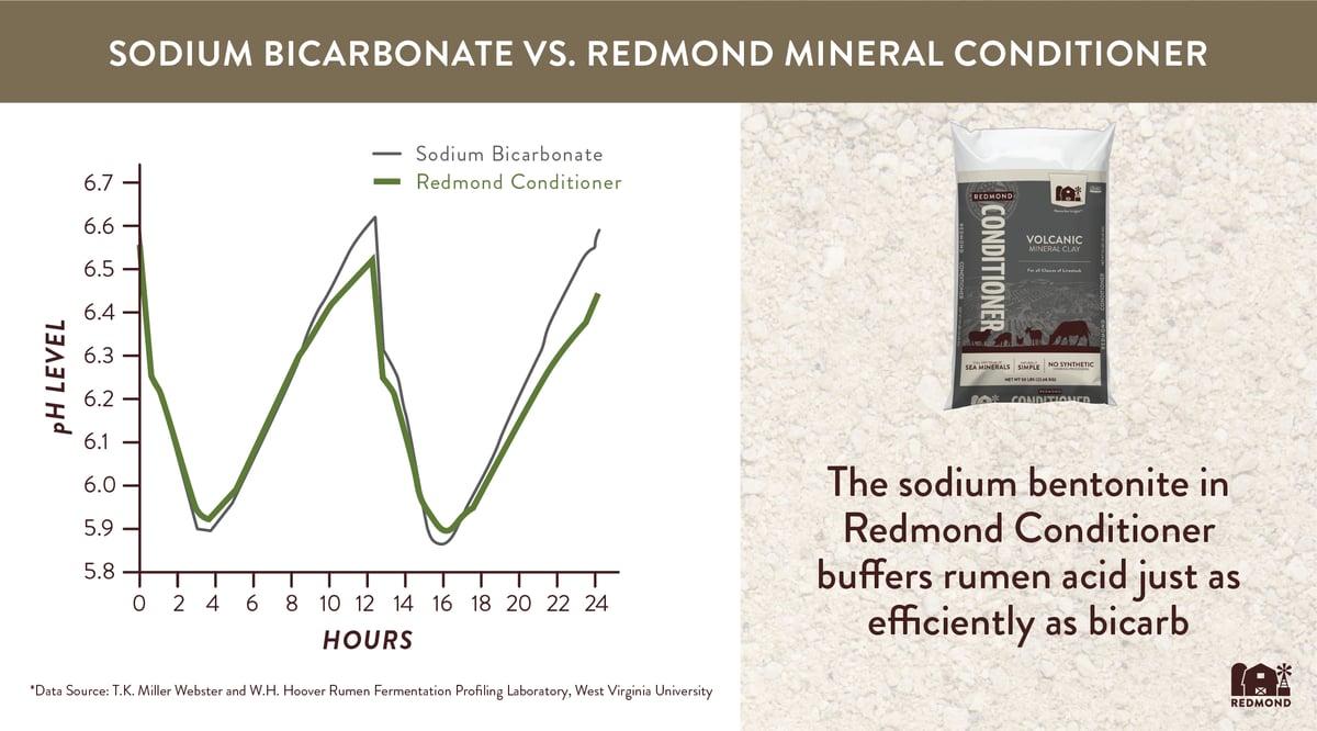 Bentonite for rumen buffering