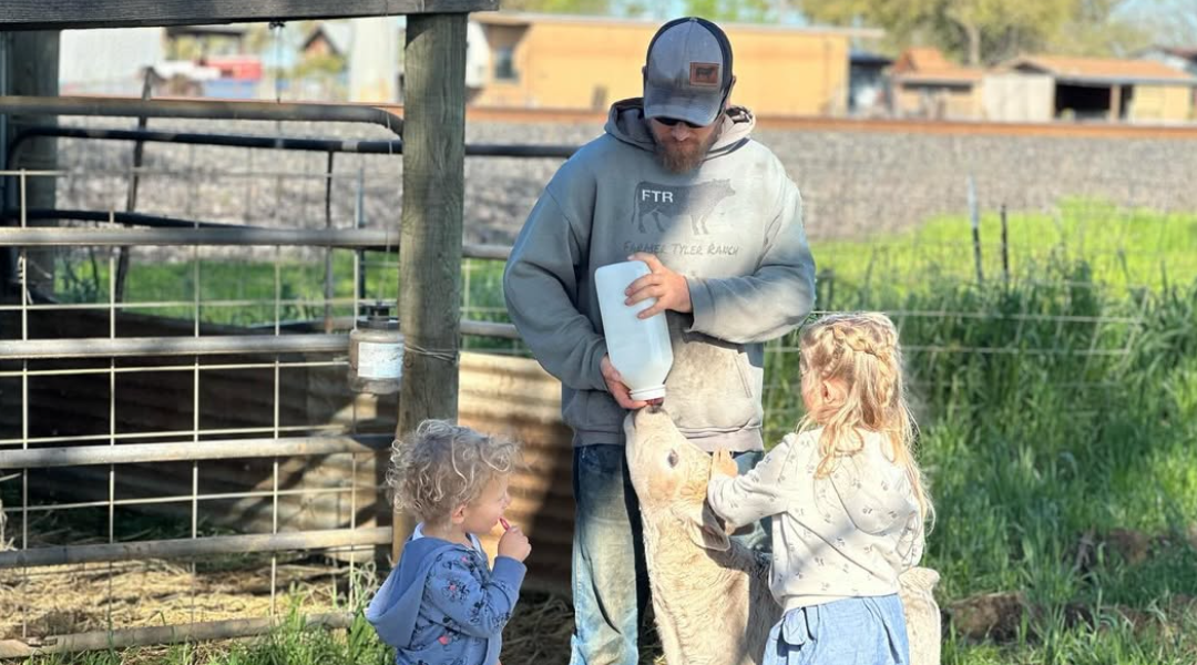 Tips for a Successful Calving Season-02-1