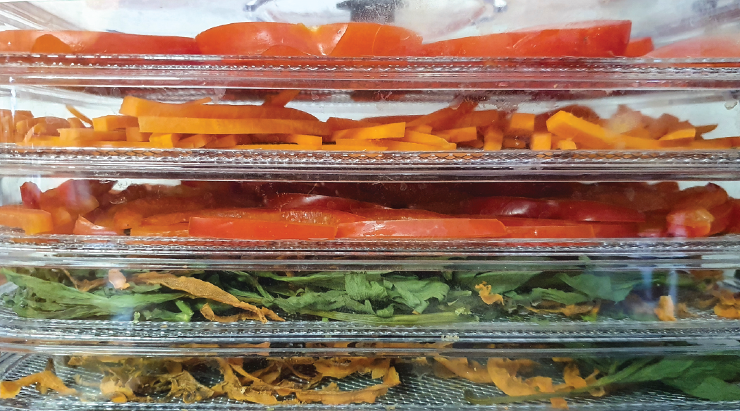 Trays of food in a dehydrator