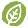 Redmond Life Leaf Logo